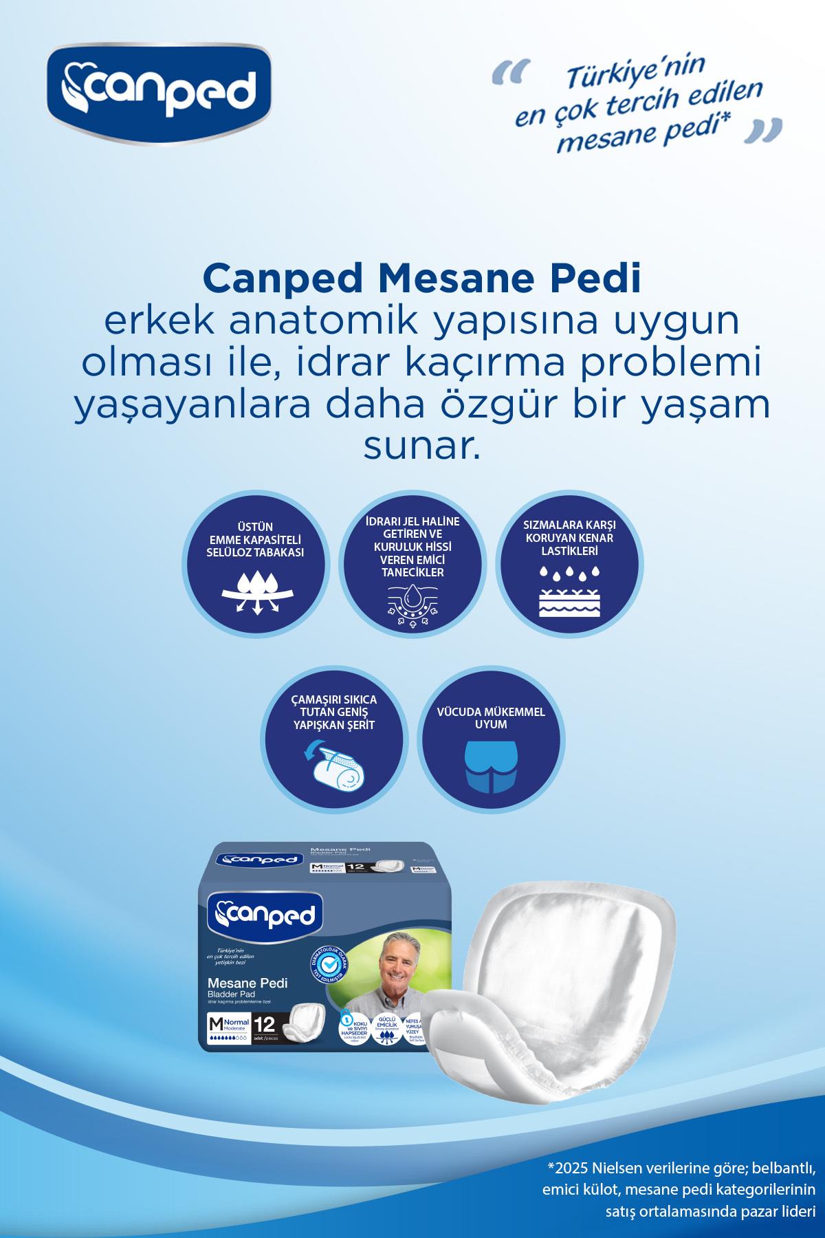 Canped Mesane Pedi Erkek M-Medium Beden 12 Adet