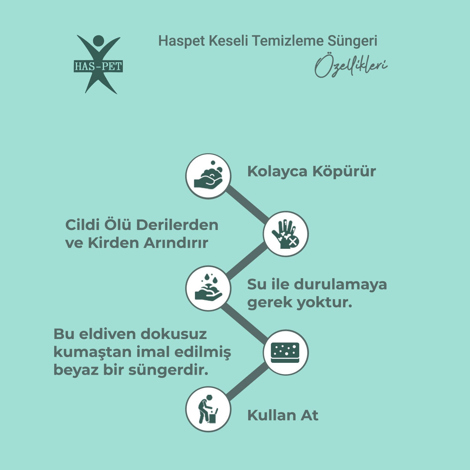 Haspet Keseli Temizleme Süngeri - 2 Adet