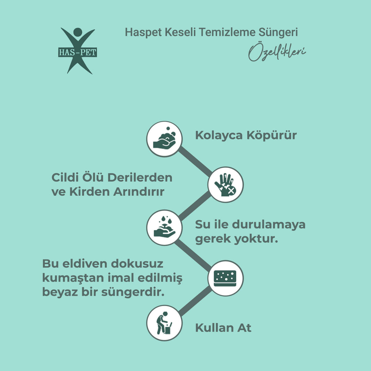 Haspet Keseli Temizleme Süngeri - 4 Adet