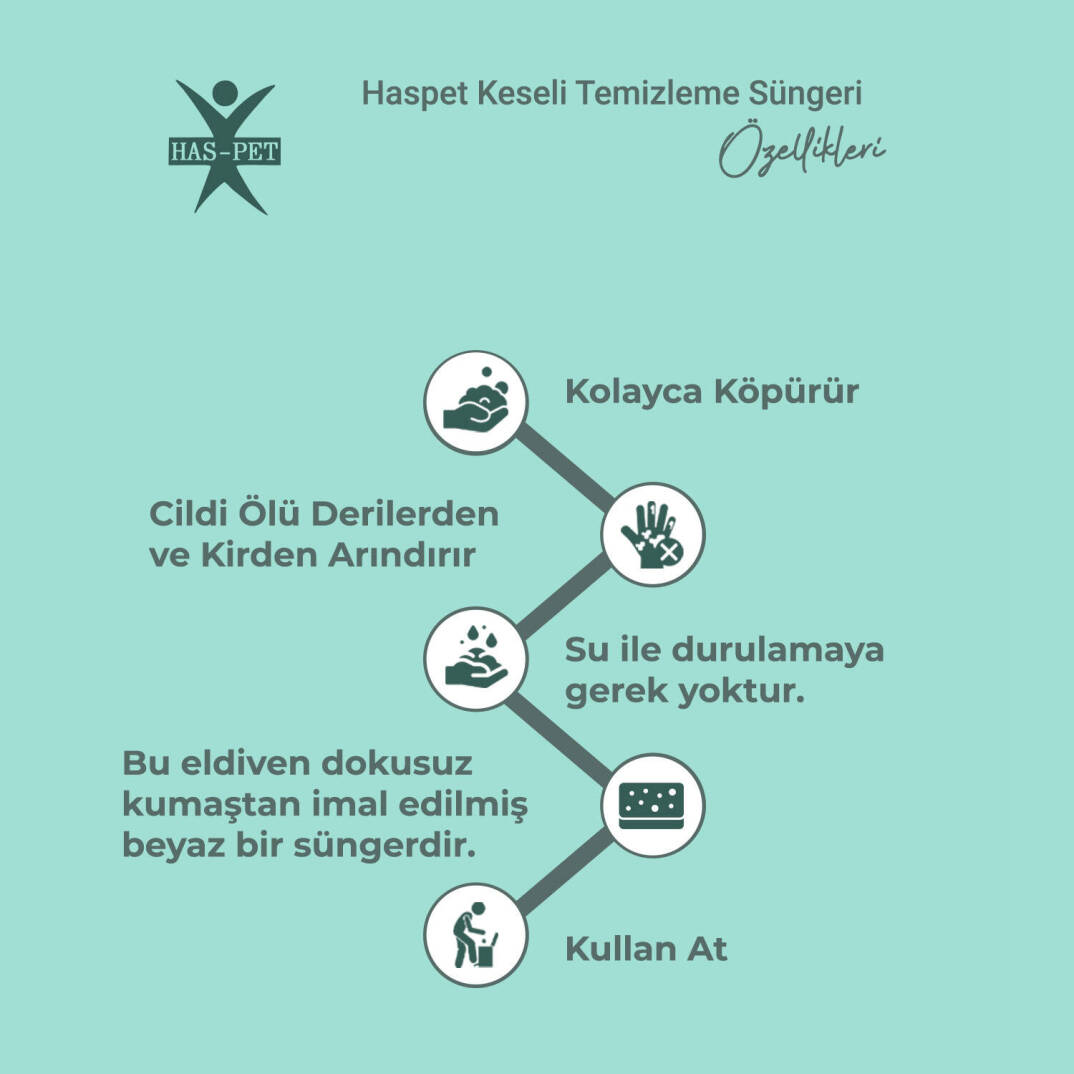 Haspet Keseli Temizleme Süngeri - 1 Adet - 2