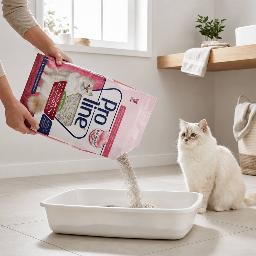 Proline Bentonit Bebek Pudrası Kokulu Kedi Kumu 10 Lt - 2