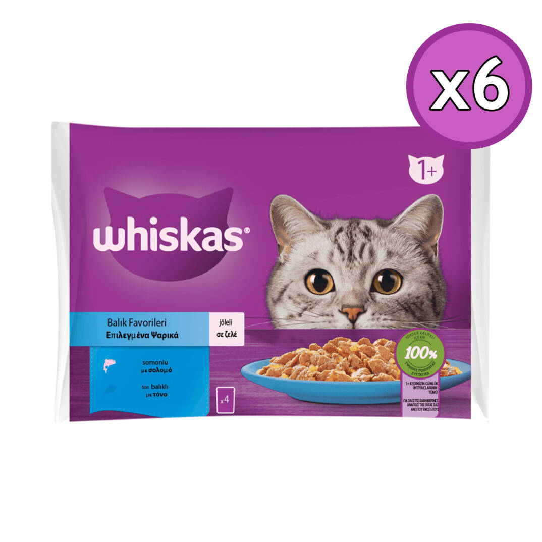 Whiskas 4x85 Gr Balık Favorileri Kedi Yaş Maması 6 Adet - 1