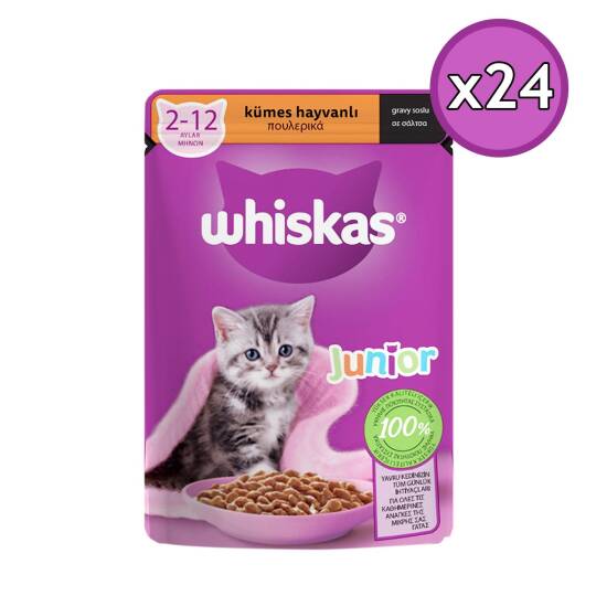 Whiskas Yavru Kümes Hayvanlı Poşet Yaş Kedi Maması 85 gr - 24 Adet