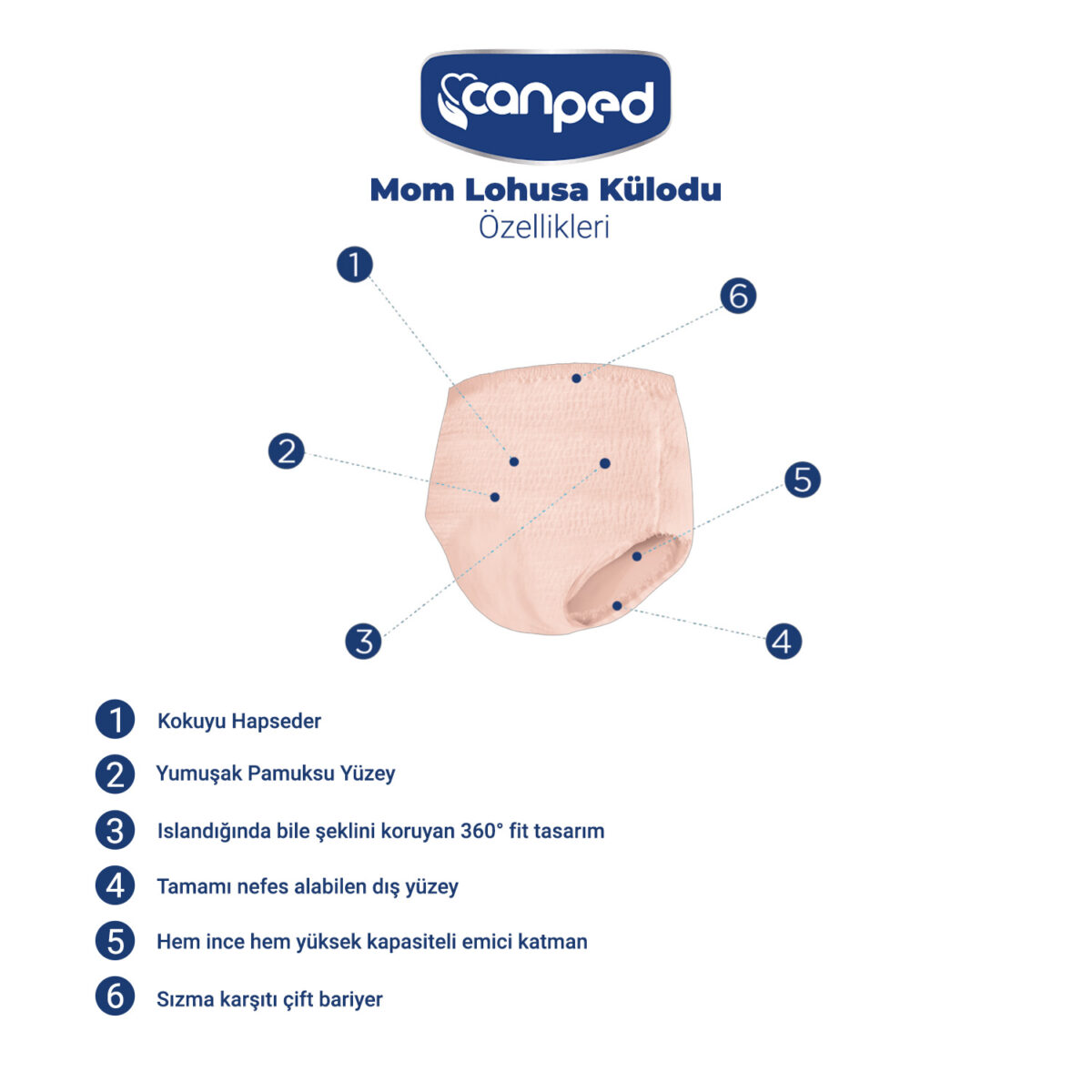 Canped Mom Lohusa Külodu ürün-özellikleri-2 Canped Lohusa Külodu L-Large Beden 40 Adet - Görsel 2