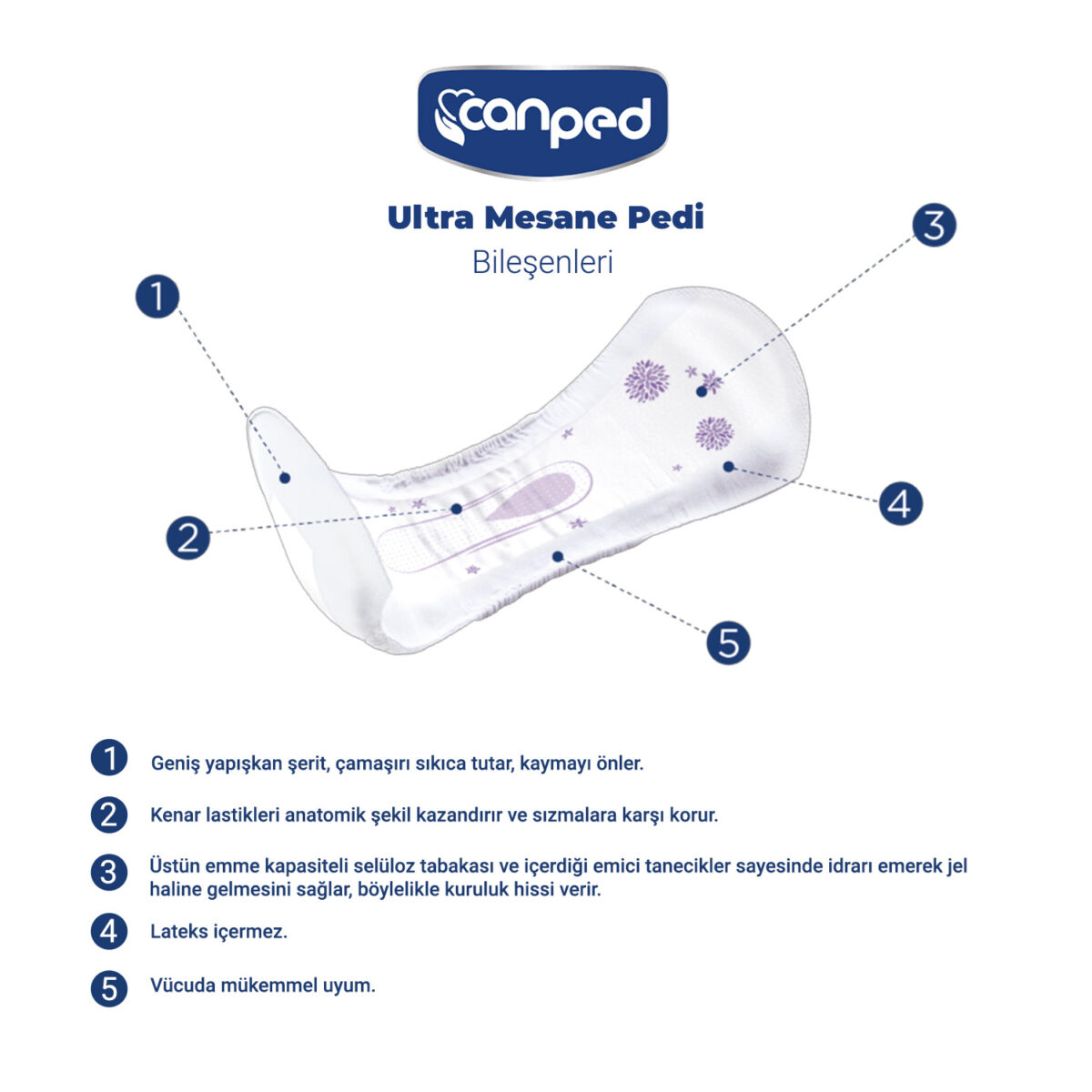 canped-ultra-mesane-pedi-ürün-bileşenler Canped Ultra Mesane Pedi Normal M-Medium Beden 48 Adet - Görsel 4