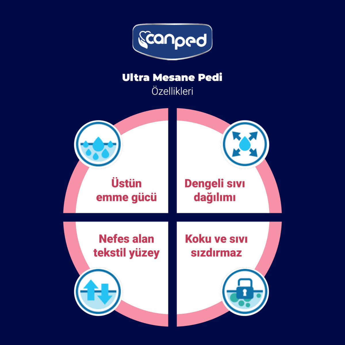 canped-ultra-mesane-pedi-ürün-özellikleri Canped Ultra Mesane Pedi Yoğun L-Large Beden 30 Adet - Görsel 3