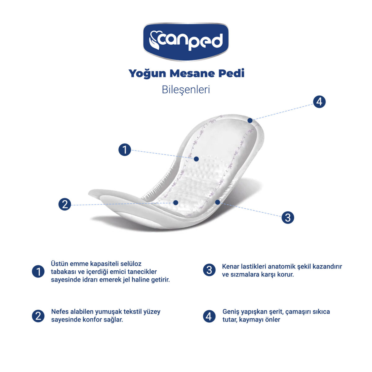 canped--yoğun-ürün-bileşenleri Canped Mesane Pedi Yoğun L-Large Beden 40 Adet - Görsel 3