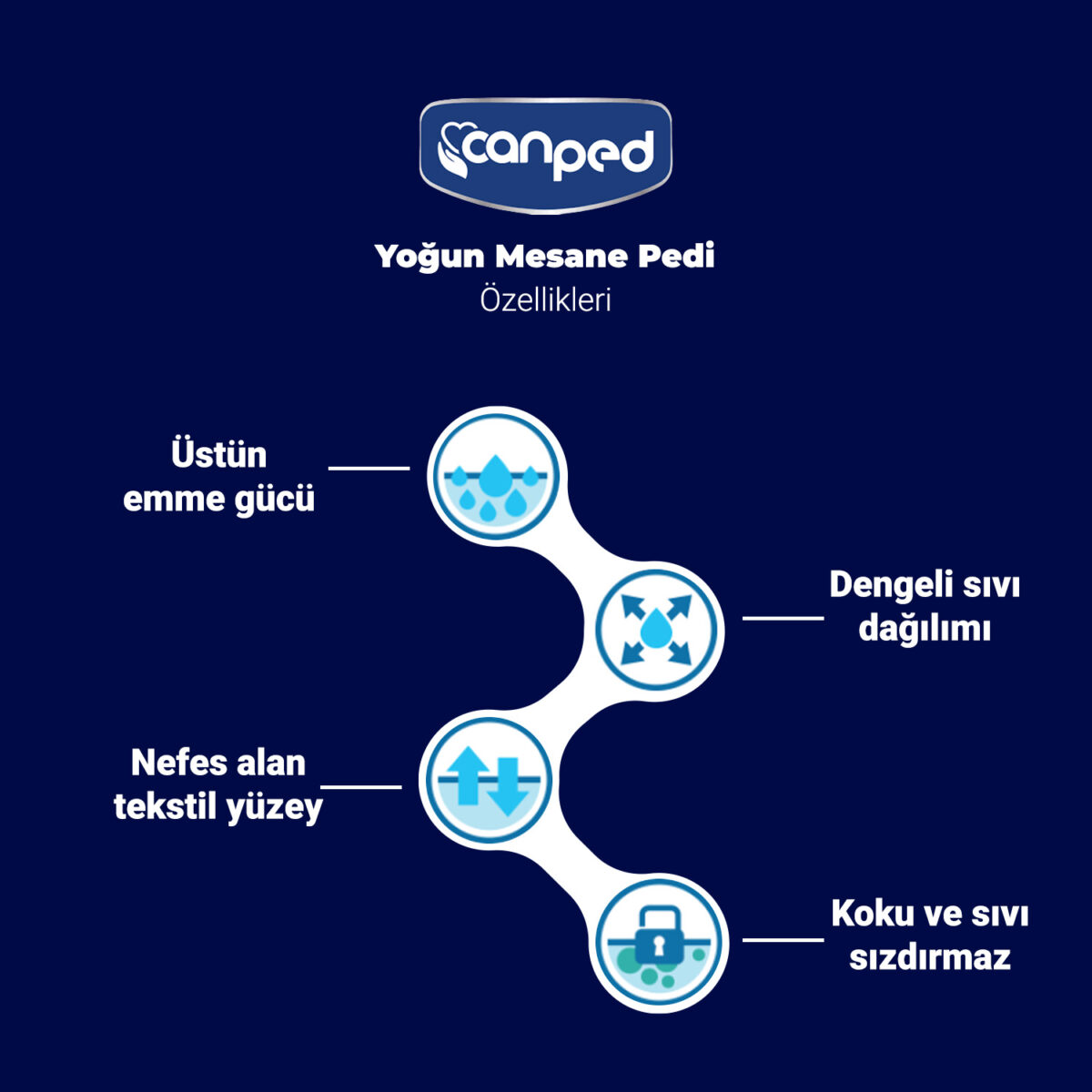 canped--yoğun-ürün-özellikleri Canped Mesane Pedi Yoğun L-Large Beden 40 Adet - Görsel 2