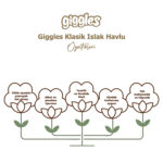 Giggles Islak Havlu Klasik 576 Adet - Görsel 2