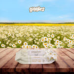 Giggles Islak Havlu Papatya 864 Adet - Görsel 3